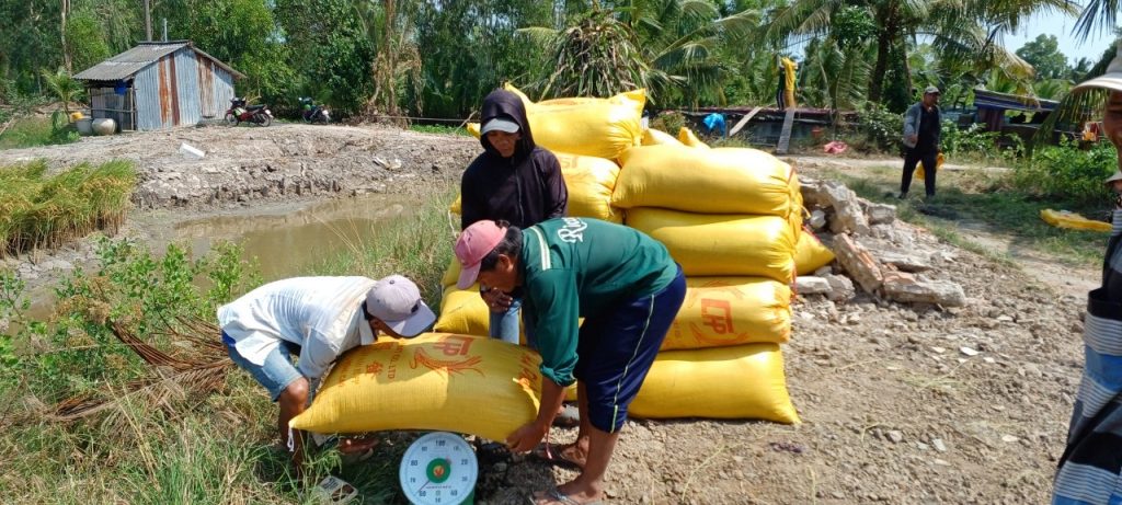 Japonica - thu hoach - cau so 1 - 5