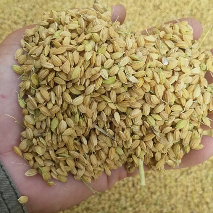 20240120-Thu Hoach-Mr Truong (4)