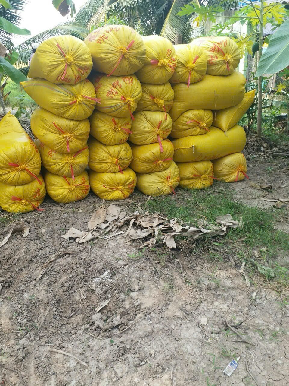 processed-862ee049-92e5-46f4-8548-a6fdfc667bd7_ugRwx2dM