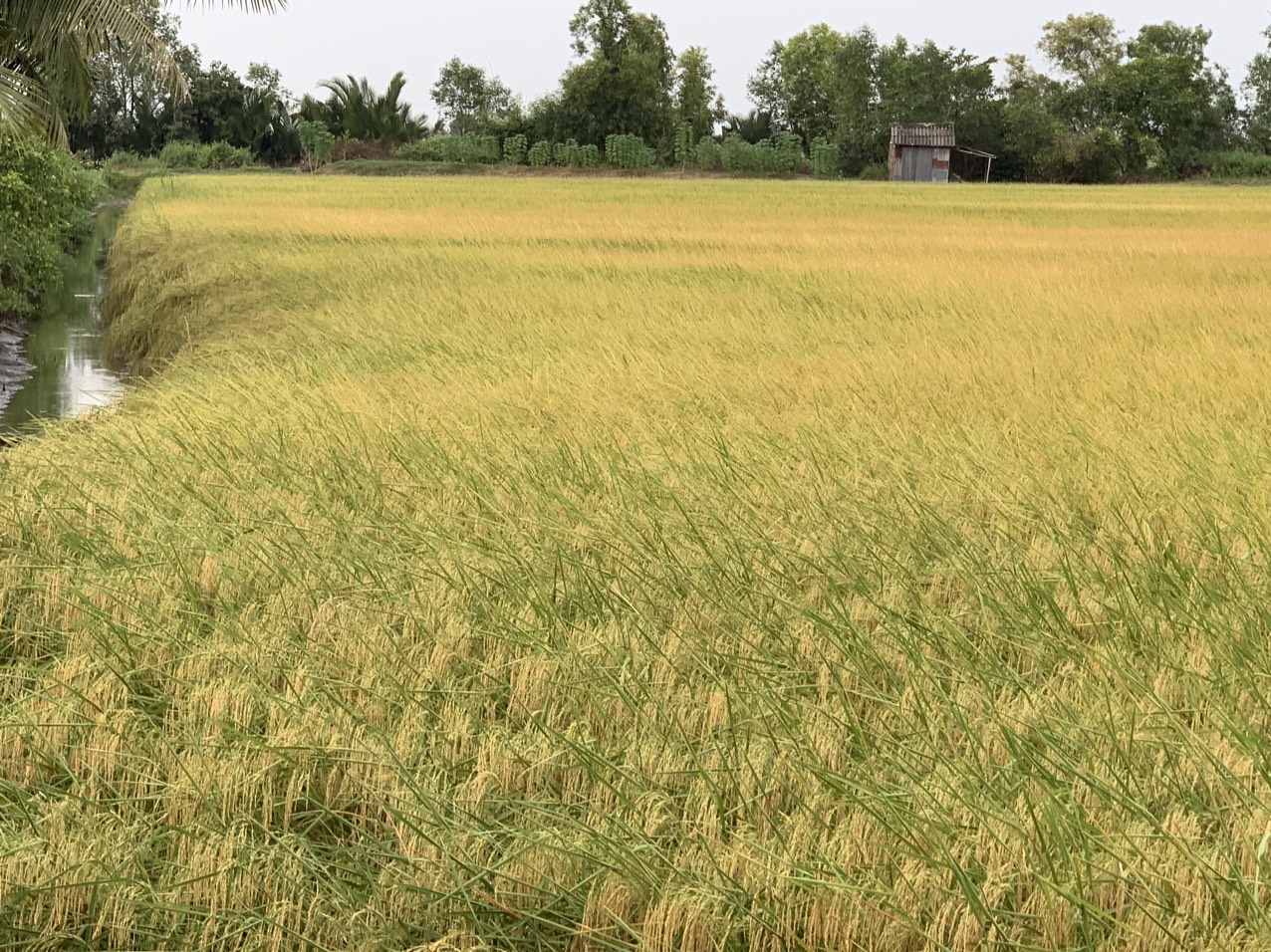 z5042828790317_07b322b8788ae6a2b515fc7f91acba64