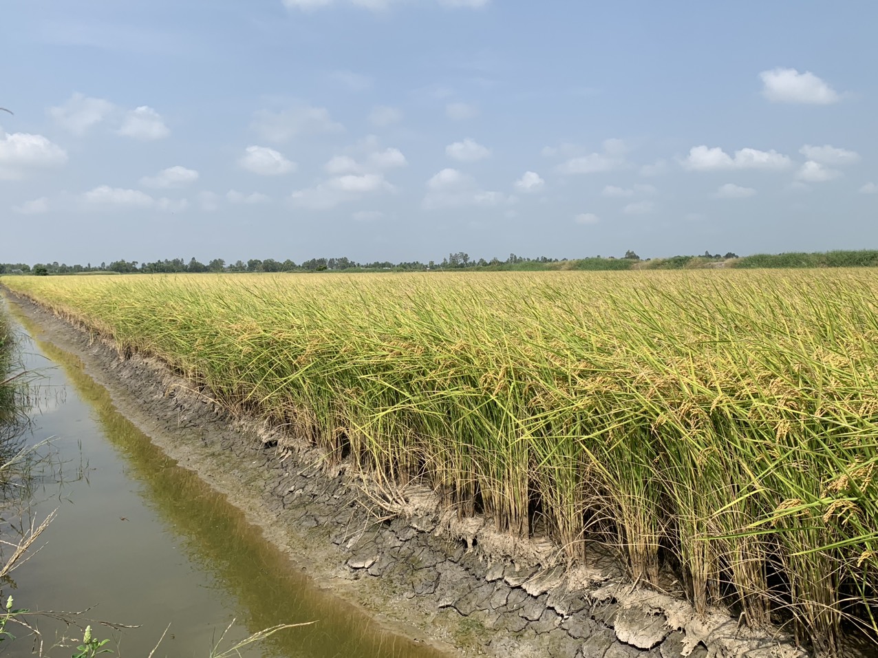 z5047730633111_87d198b9574565f14c180aebc1ad40bb