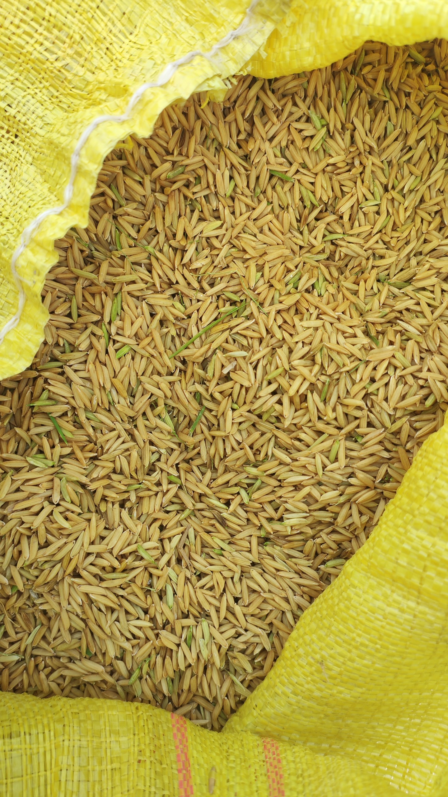 z5054447869042_713916a81fd1156f170f5e30922f2f26