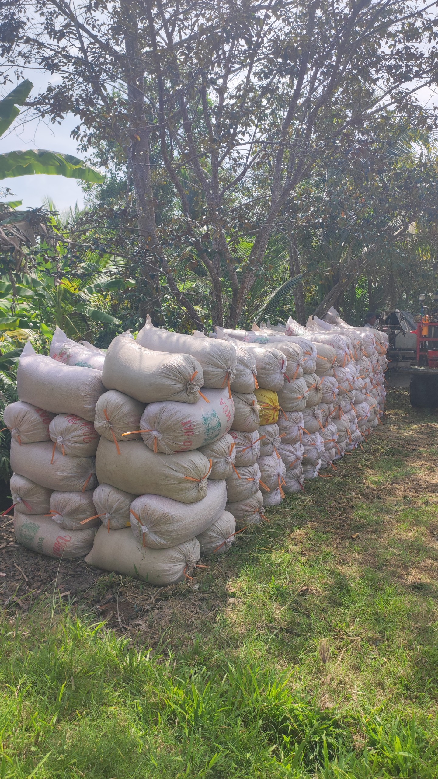 z5054447891073_b3c09c974577a1d0e013e732a0a4bd3c