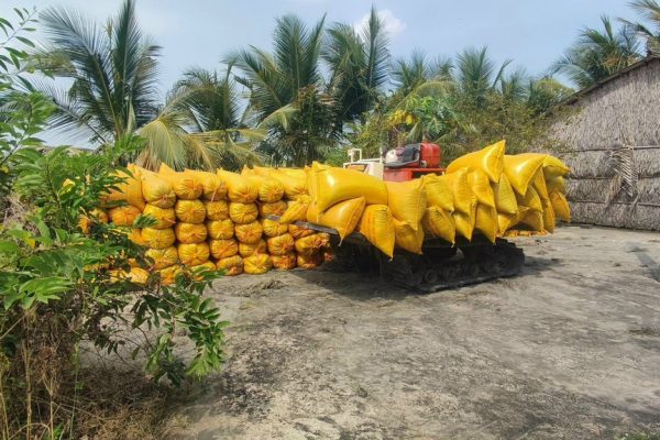 z5115841473024_71ac09495c6640f7e63f9fa71326902e